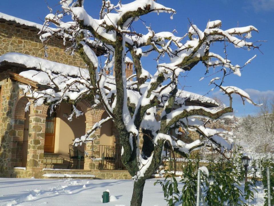 Agriturismo Casal Gheriglio ルチニャーノ エクステリア 写真